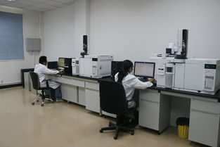 華科檢測技術服務積極捐資支持新中學建設，助力信息技術咨詢服務發展